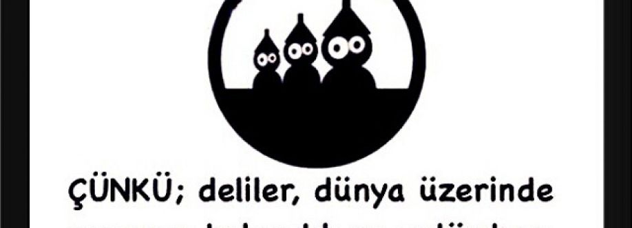 Delinin Yeri Cover Image