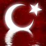 Veysel Yoleri Profile Picture