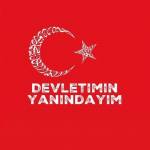 mehmet773 Profile Picture