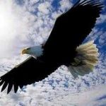 Sami Kartal Profile Picture