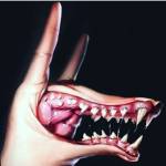 Sevgi Turan Profile Picture