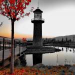 Hasan Öztürk Profile Picture