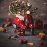 metin Şüğün Profile Picture