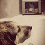 Gökhan YILMAZ Profile Picture